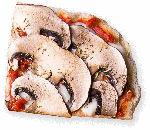 slice8